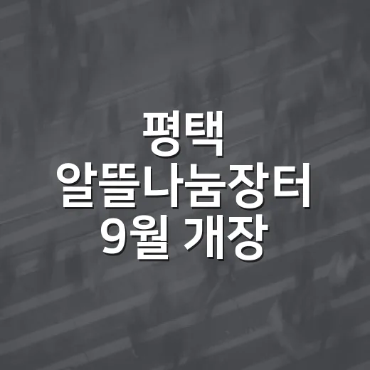 평택 알뜰나눔장터 9월 개장, 보물찾기 시작
