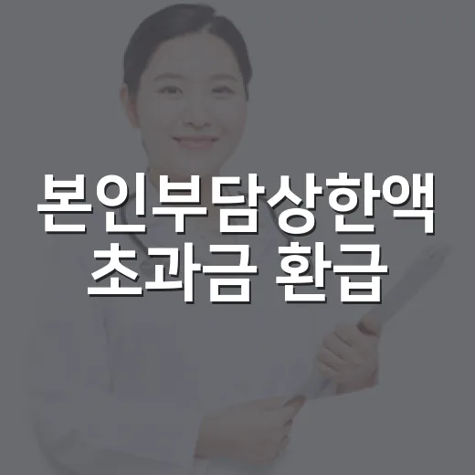 본인부담상한액 초과금 환급, 8월 말부터 226만 명 대상