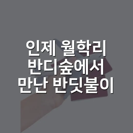 인제 월학리 반디숲에서 만난 반딧불이의 밤