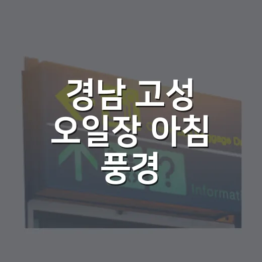 경남 고성 오일장 아침 풍경