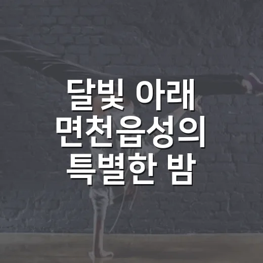 달빛 아래 면천읍성의 특별한 밤