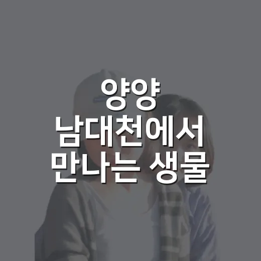 양양 남대천에서 만나는 생물 이야기