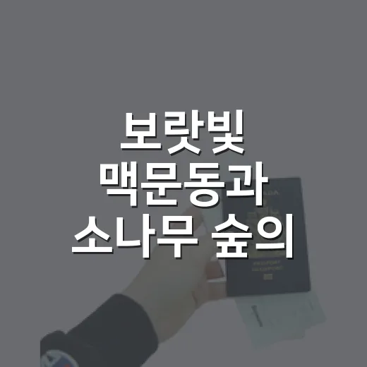 보랏빛 맥문동과 소나무 숲의 조화