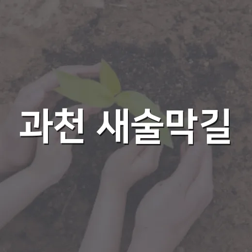 과천 새술막길, 역사 품은 순우리말 도로