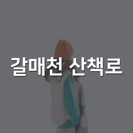 갈매천 산책로, 밤을 밝히는 빛의 향연