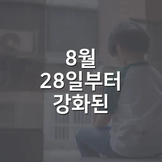 8월 28일부터 강화된 주차장법, 알박기·출입구 주차 제재