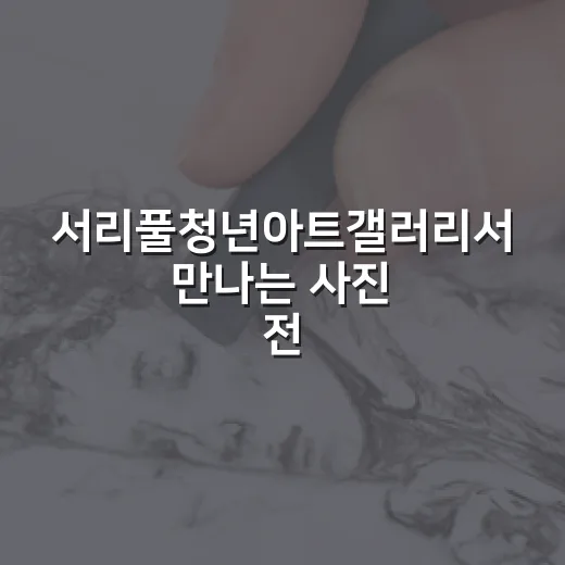 서리풀청년아트갤러리서 만나는 사진 전시 '장과 면'
