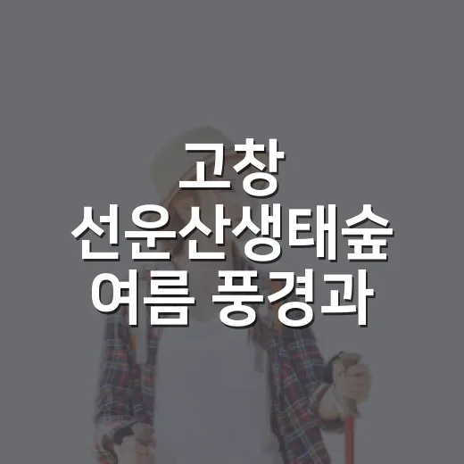 고창 선운산생태숲 여름 풍경과 자연의 신비
