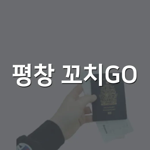 평창 꼬치GO!야시장 활기찬 개장
