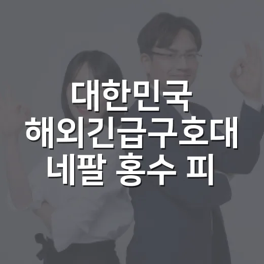 대한민국 해외긴급구호대 네팔 홍수 피해 수색 나선다