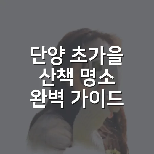 단양 초가을 산책 명소 완벽 가이드