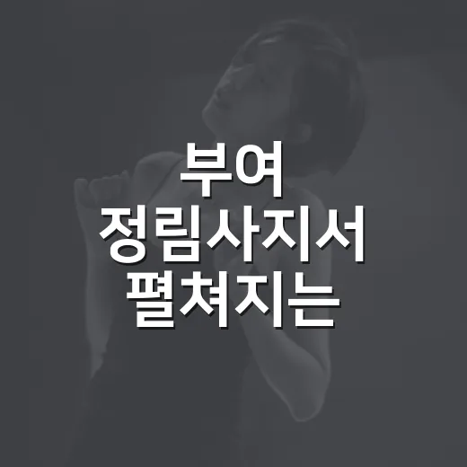 부여 정림사지서 펼쳐지는 국가유산 미디어아트