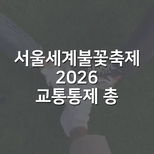 서울세계불꽃축제 2026 교통통제 총정리