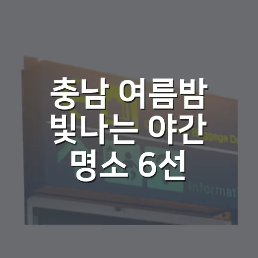 충남 여름밤 빛나는 야간 명소 6선