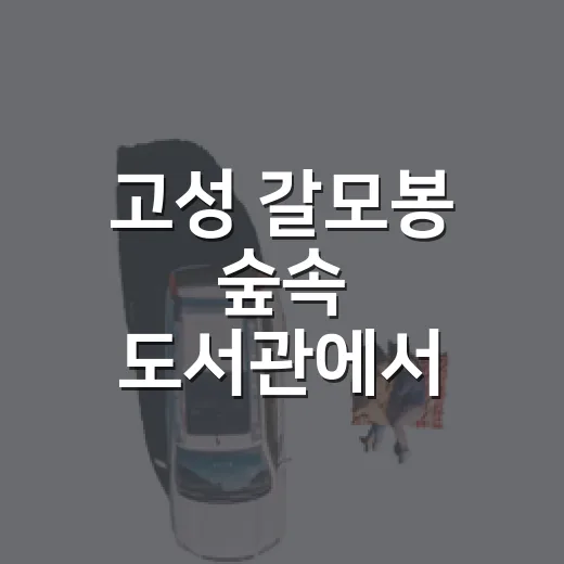 고성 갈모봉 숲속 도서관에서 만난 비와 책