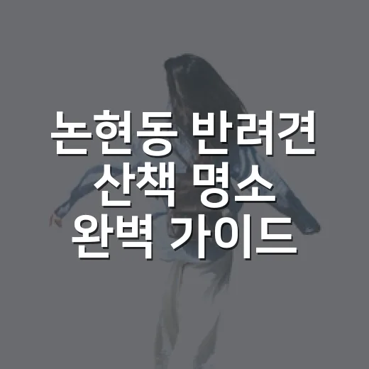 논현동 반려견 산책 명소 완벽 가이드