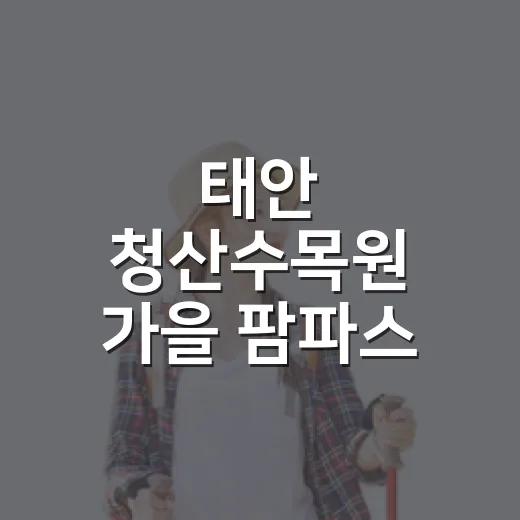 태안 청산수목원 가을 팜파스 축제 개막