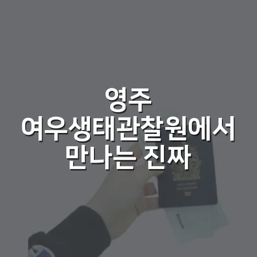 영주 여우생태관찰원에서 만나는 진짜 여우