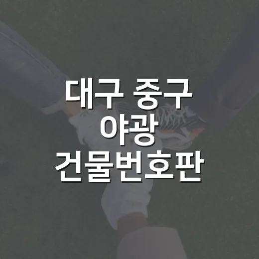 대구 중구 야광 건물번호판 교체 국민 참여