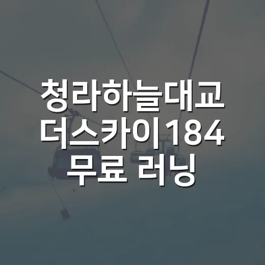 청라하늘대교 더스카이184 무료 러닝 클래스 체험기