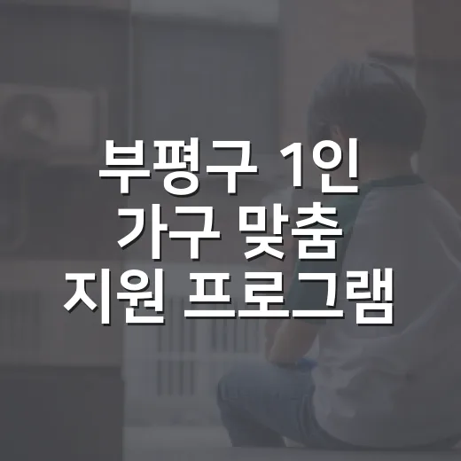 부평구 1인 가구 맞춤 지원 프로그램