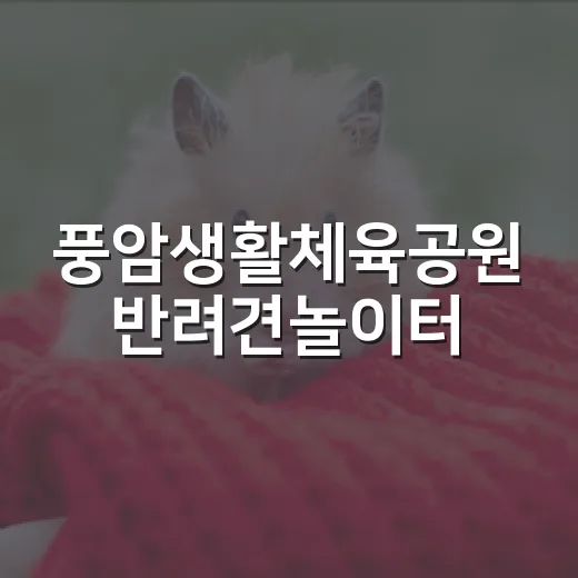 풍암생활체육공원 반려견놀이터, 9월 야간 연장 운영