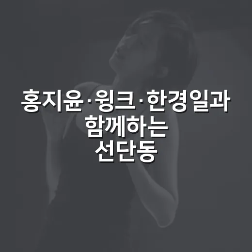 홍지윤·윙크·한경일과 함께하는 선단동 한마음 축제