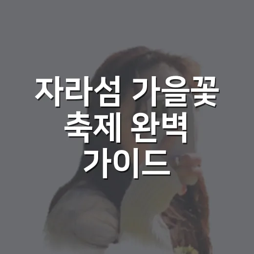 자라섬 가을꽃 축제 완벽 가이드