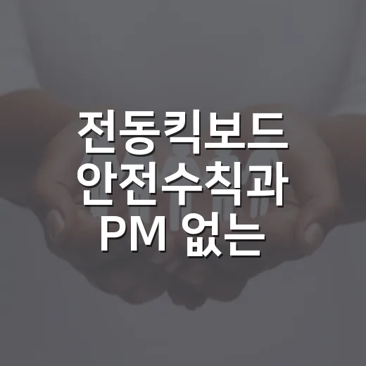 전동킥보드 안전수칙과 PM 없는 거리 안내