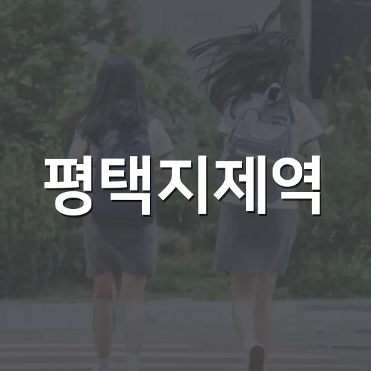 평택지제역, 수도권 남부 교통 허브로 도약