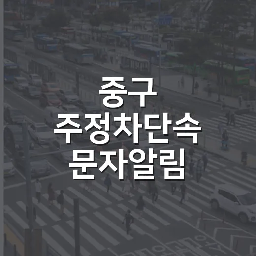중구 주정차단속 문자알림 서비스로 단속 전 미리 알림