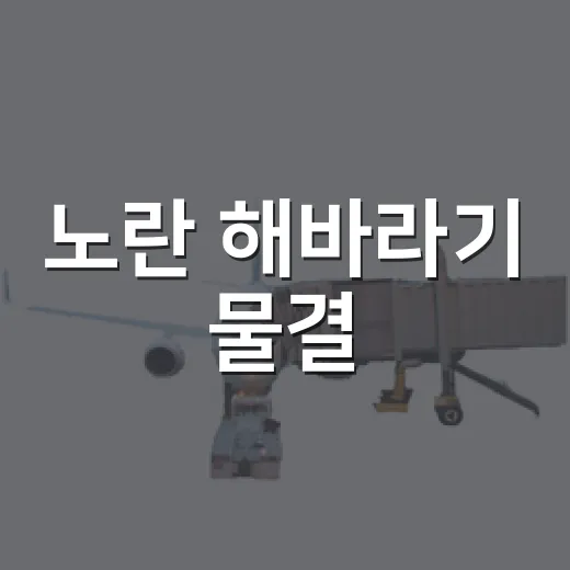 노란 해바라기 물결, 연천 가을 축제