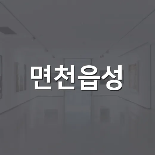 면천읍성, 청년 예술가들의 집단지성으로 재조명