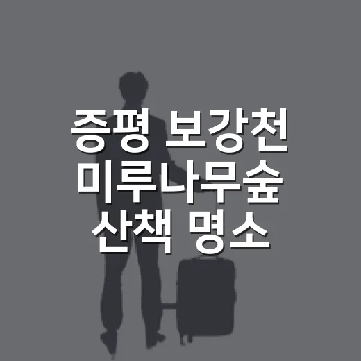 증평 보강천 미루나무숲 산책 명소