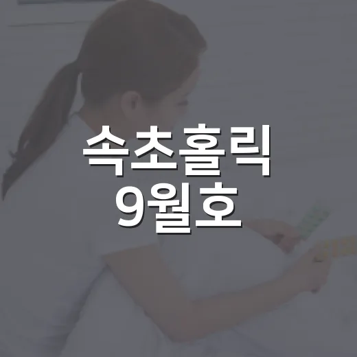 속초홀릭 9월호, 속초 소식 한눈에