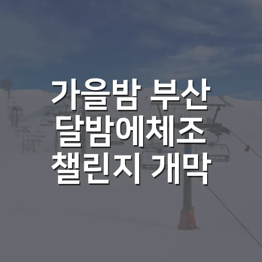 가을밤 부산 달밤에체조 챌린지 개막