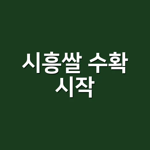 시흥쌀 수확 시작, 올해 작황 평년 이상 전망