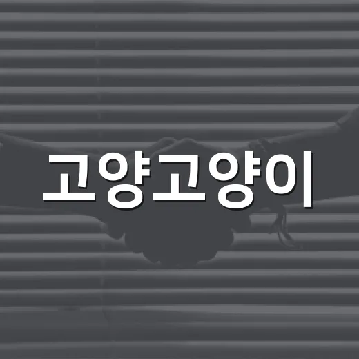 고양고양이, SNS로 시민과 소통 활발