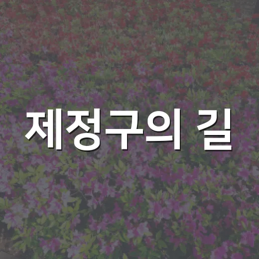 제정구의 길, 대가저수지와 커뮤니티센터에서 만나다