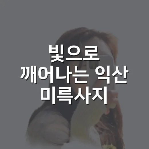 빛으로 깨어나는 익산 미륵사지 미디어아트