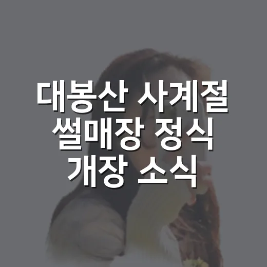 대봉산 사계절 썰매장 정식 개장 소식