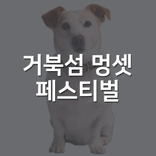 거북섬 멍셋 페스티벌, 반려견과 노을 속 추억