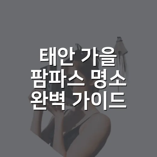 태안 가을 팜파스 명소 완벽 가이드
