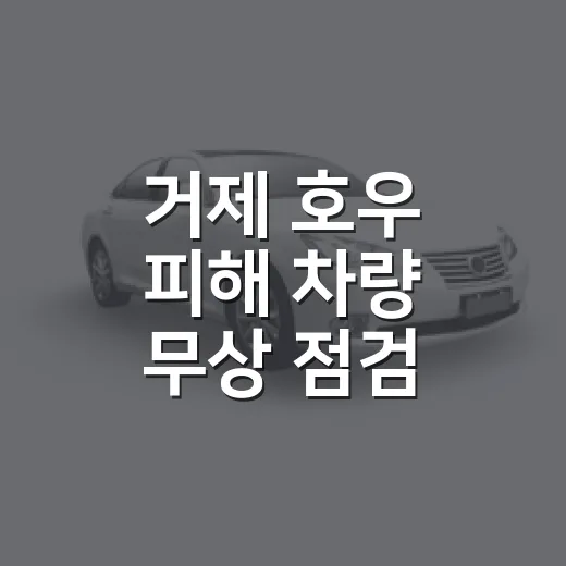 거제 호우 피해 차량 무상 점검 서비스 안내