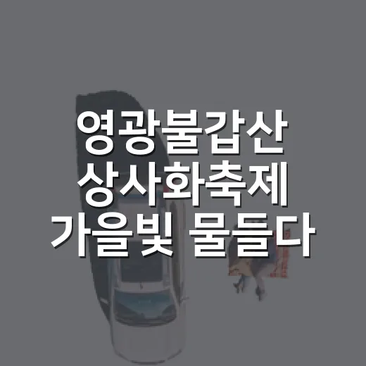 영광불갑산 상사화축제 가을빛 물들다