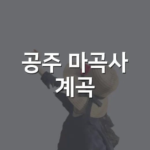 공주 마곡사 계곡, 여름 물놀이 최적지