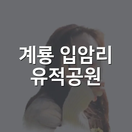 계룡 입암리 유적공원, 청동기시대 흔적을 걷다