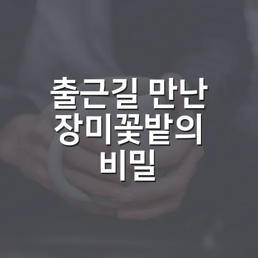 출근길 만난 장미꽃밭의 비밀