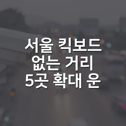 서울 킥보드 없는 거리 5곳 확대 운영