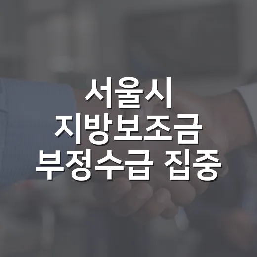 서울시 지방보조금 부정수급 집중 신고기간 운영
